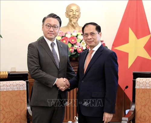 Hợp tác địa phương giữa Việt Nam và Nhật Bản là kênh hợp tác quan trọng